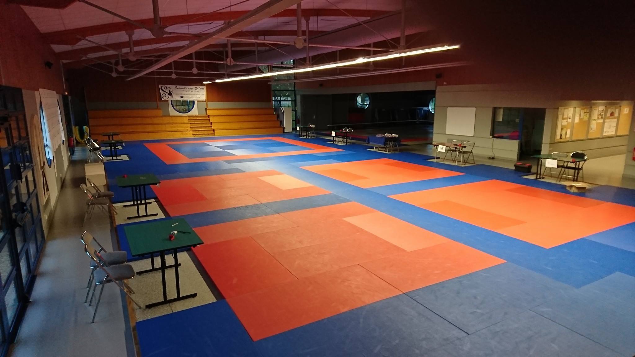 Tatami de championnat Image